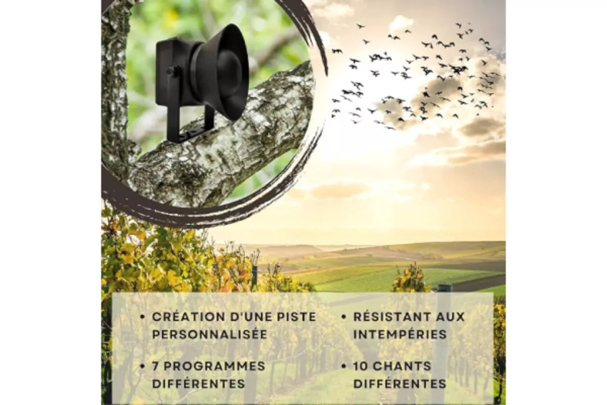 BIRD STOP PRO - Répulsif Sonore anti Pigeons et Oiseaux (couvre 5000m²)