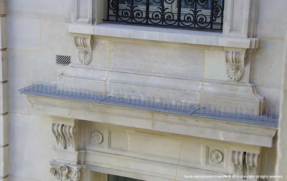 Anti Pigeons Pics Ultra 4 - 10 mètres