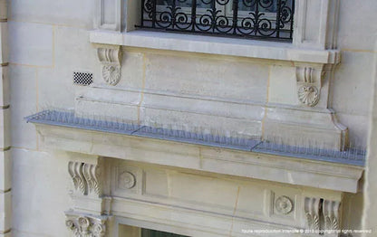 Anti Pigeons Pics Ultra 4 - 10 mètres