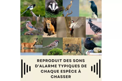 BIRD STOP PRO - Répulsif Sonore anti Pigeons et Oiseaux (couvre 5000m²)